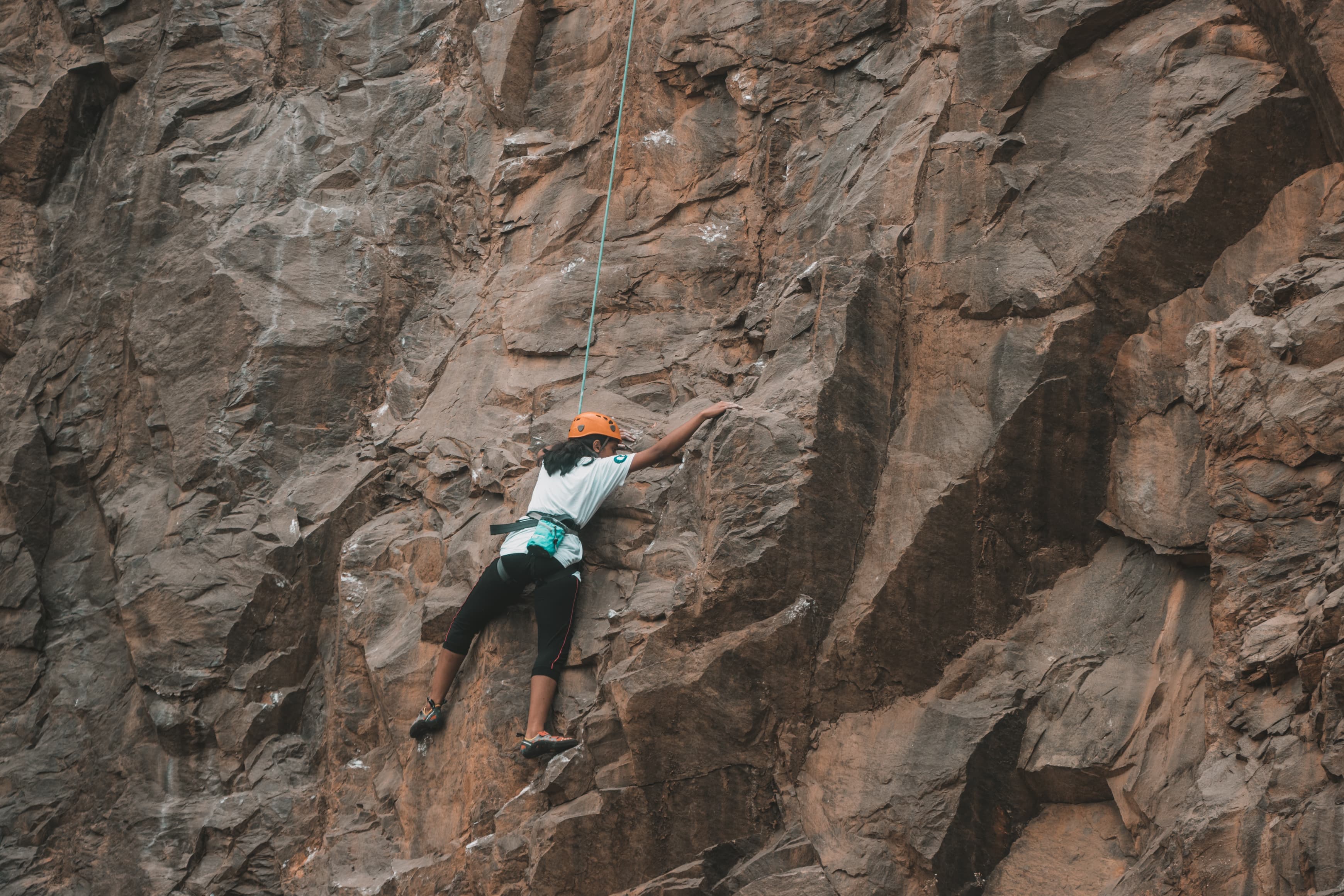 Illustration of New Bee